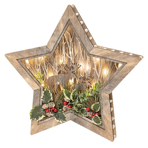 Wooden LED Star Cutout w/Moose & Holly