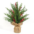 Cypress & Berries Tree w/ Burlap