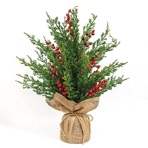 Cypress & Berries Tree w/ Burlap